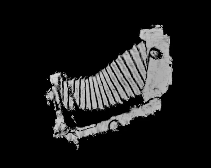 Camera portrait #1,
IPhone 3D scans on computer screen.
2021