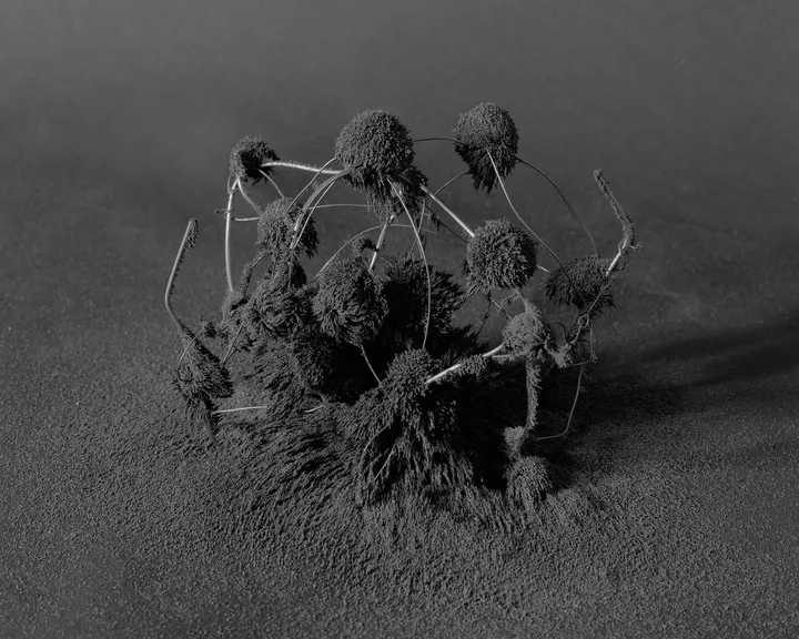 Magnetic fields on wire. 2020