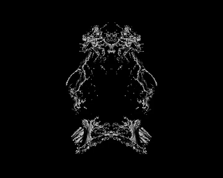 Selfportrait as Janus bifrons
IPhone 3D scans on computer screen.
2020